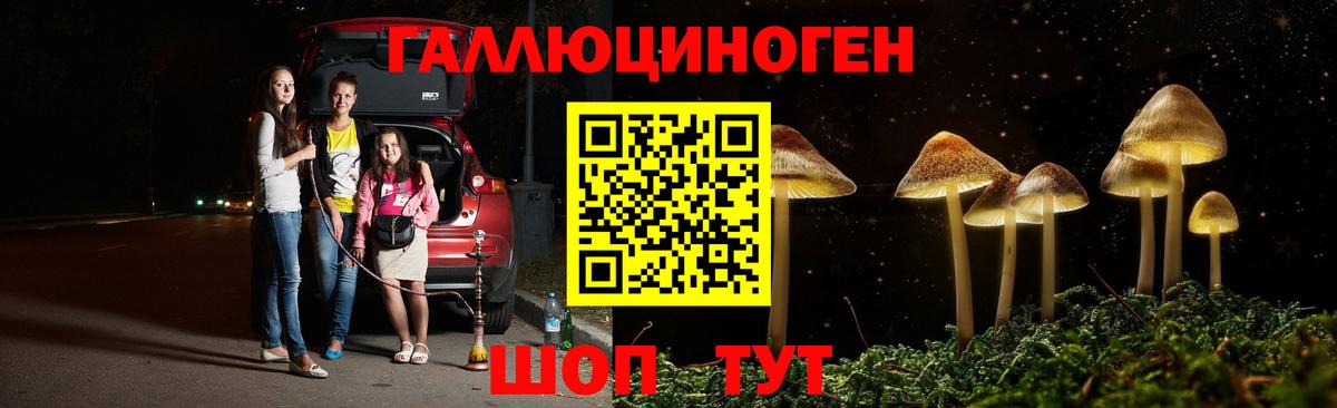 Псилоцибиновые грибы Psilocybe  Галлюциногенные грибы MAGIC MUSHROOMS  Вход с VPN  Холмск 
