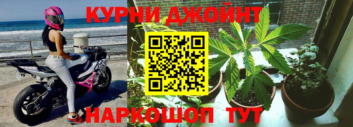 Канабис гибрид Холмск
